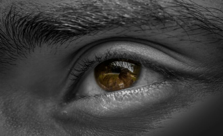 grayscale photography of human left eye