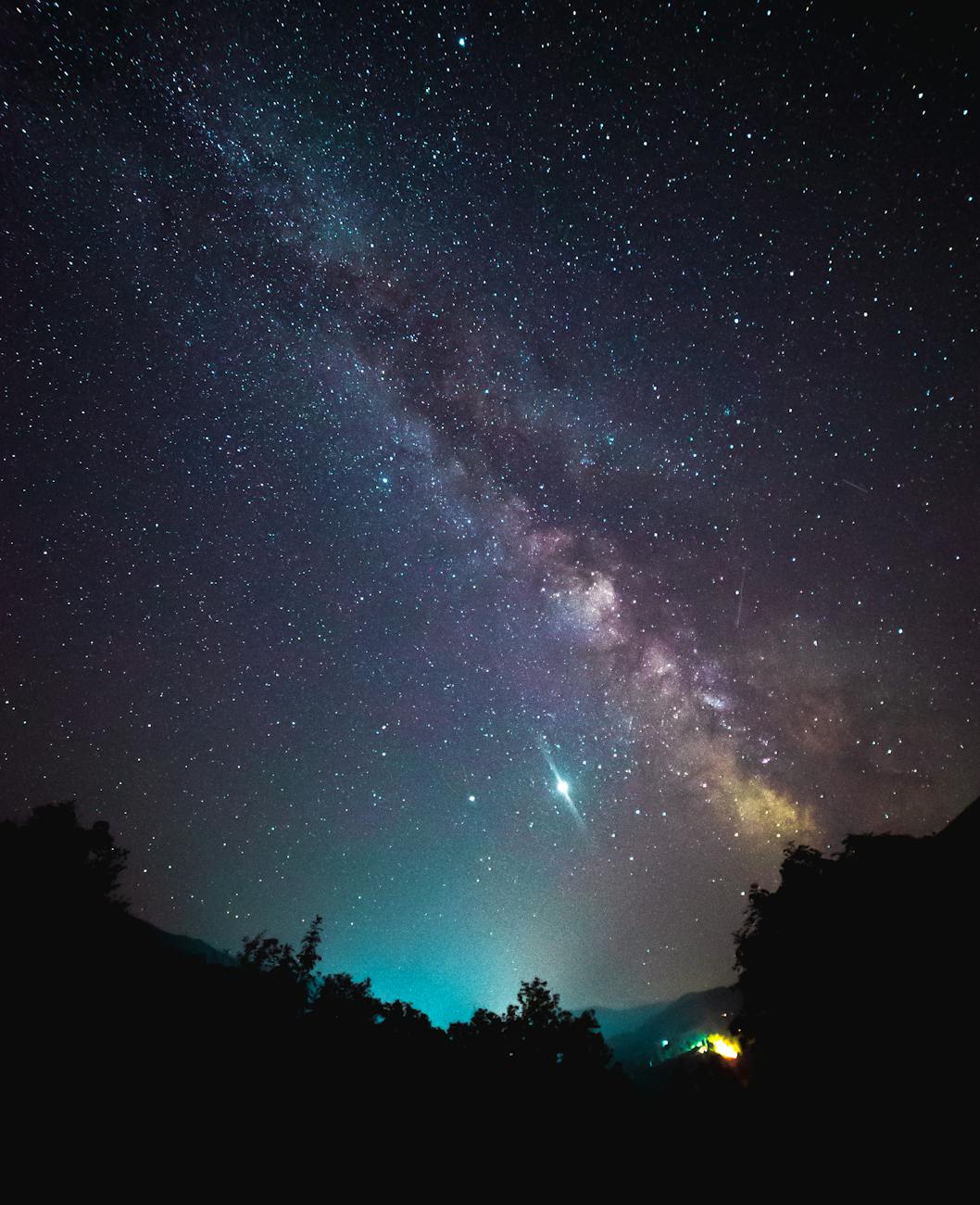 a majestic display of stellar structure over a silhouette of trees